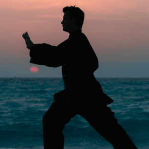 Qi Gong Kurs für Anfänger Qi Gong Kurs für Anfänger